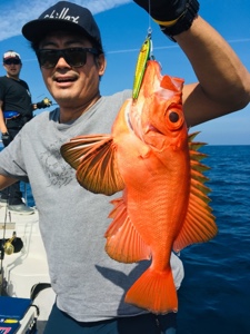 シーモンキー 釣果