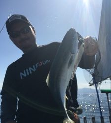 シーモンキー 釣果