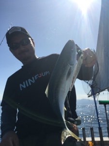 シーモンキー 釣果