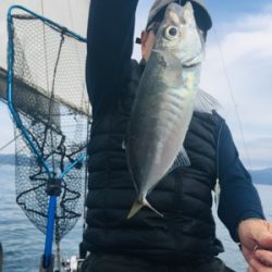 シーモンキー 釣果