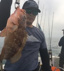 シーモンキー 釣果