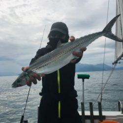 シーモンキー 釣果