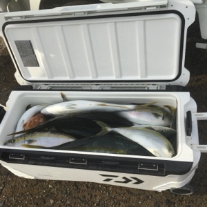 シーモンキー 釣果