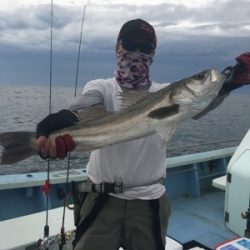 シーモンキー 釣果