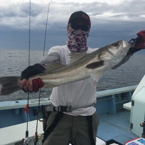 シーモンキー 釣果