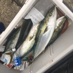 シーモンキー 釣果