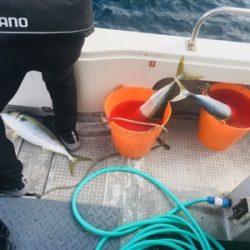 シーモンキー 釣果