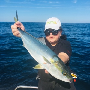 シーモンキー 釣果