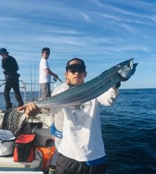 シーモンキー 釣果