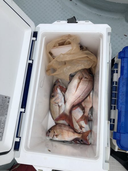 リトルワン 釣果