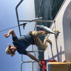 リトルワン 釣果