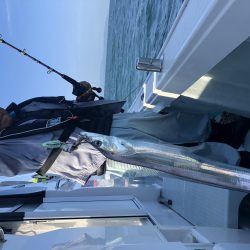 リトルワン 釣果