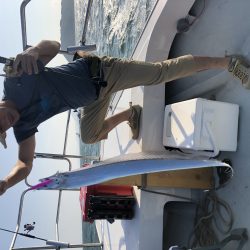 リトルワン 釣果