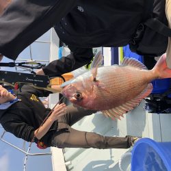 リトルワン 釣果