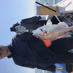 リトルワン 釣果