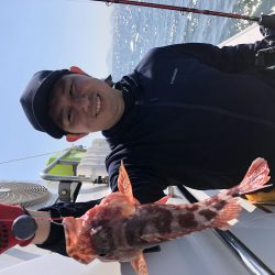 リトルワン 釣果