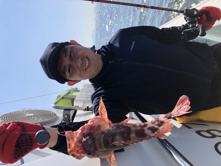 リトルワン 釣果