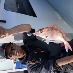 リトルワン 釣果