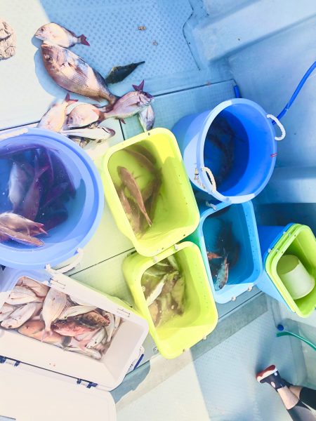 リトルワン 釣果