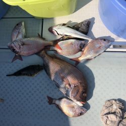 リトルワン 釣果