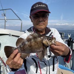 リトルワン 釣果