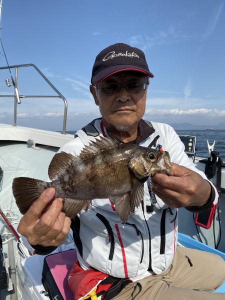 リトルワン 釣果