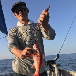 たいし丸 釣果