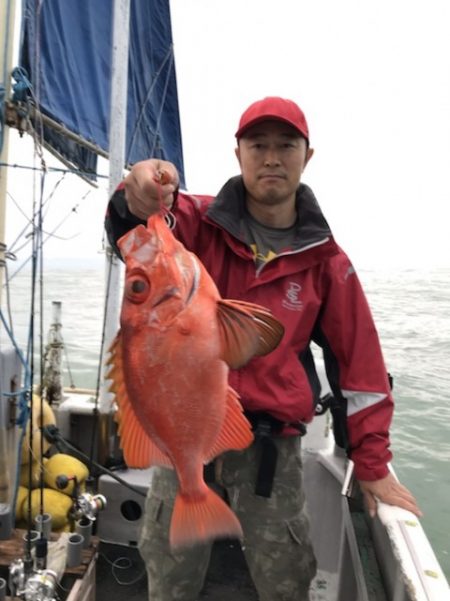 たいし丸 釣果