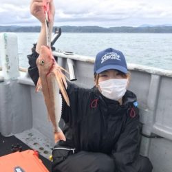 たいし丸 釣果