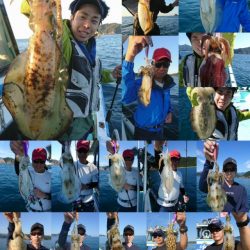 シードリーム 釣果