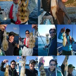 シードリーム 釣果