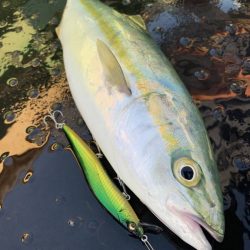 ONETEN LBO SWの飛距離で見事HIT！【メガバス（Megabass）ONETEN SWシリーズ　インプレッション】