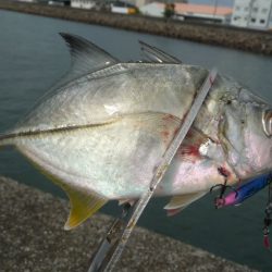 メタルジャッカーマイクロは予想よりはるかによく飛ぶ！【ルミカ（LUMICA）メタルジャッカーマイクロインプレッション】