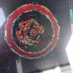 深川　吉野屋 釣果