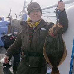 小樽港遊漁船ＳＨＡＫＥ 釣果