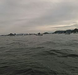 フィッシングガイド りょう 釣果