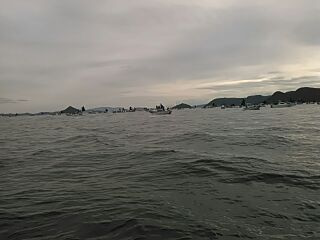 フィッシングガイド りょう 釣果