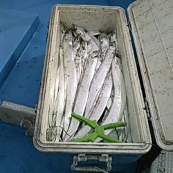 フィッシングガイド りょう 釣果