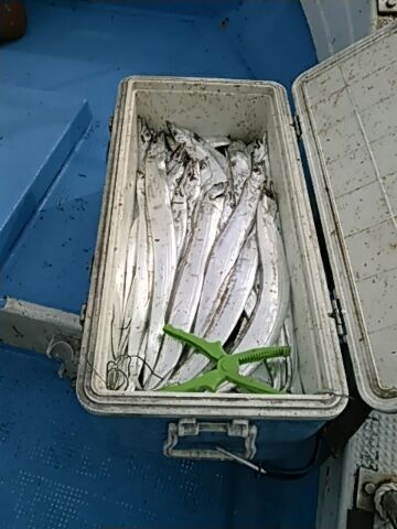 フィッシングガイド りょう 釣果