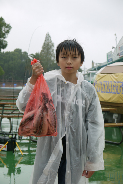 としまえんフィッシングエリア 釣果