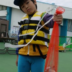 としまえんフィッシングエリア 釣果