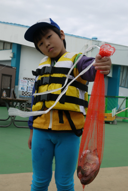 としまえんフィッシングエリア 釣果