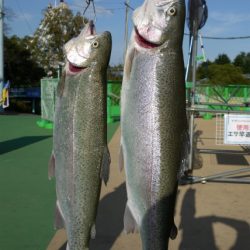 としまえんフィッシングエリア 釣果