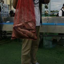 としまえんフィッシングエリア 釣果