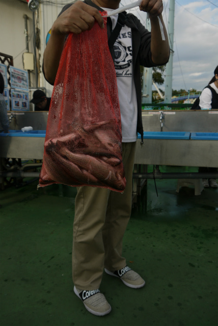 としまえんフィッシングエリア 釣果