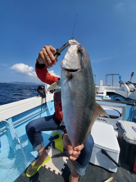 海晴丸 釣果