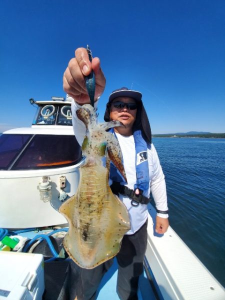 海晴丸 釣果