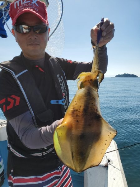 海晴丸 釣果
