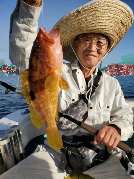 海晴丸 釣果