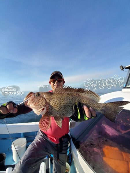 海晴丸 釣果